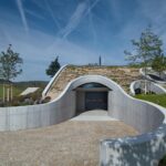 Bodega, viñedos, cubierta verde | bodega gurdau10
