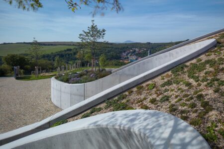 Bodega, viñedos, cubierta verde | bodega gurdau11