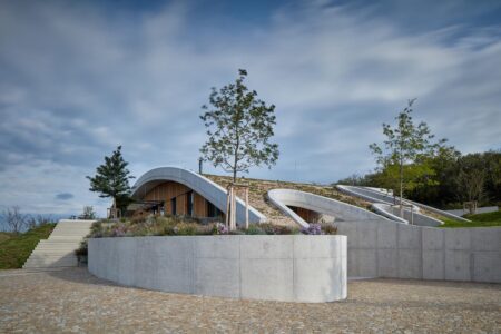 Bodega, viñedos, cubierta verde | bodega gurdau13