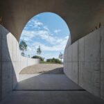 Bodega, viñedos, cubierta verde | bodega gurdau14