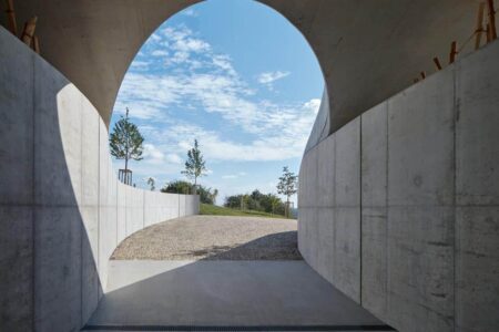 Bodega, viñedos, cubierta verde | bodega gurdau14