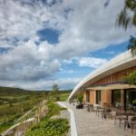 Bodega, viñedos, cubierta verde | bodega gurdau19