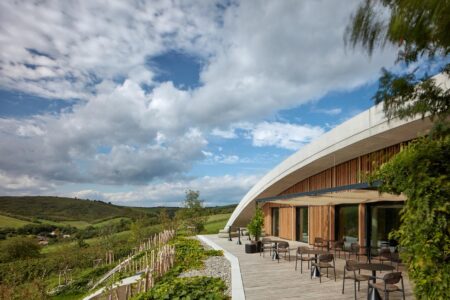 Bodega, viñedos, cubierta verde | bodega gurdau19