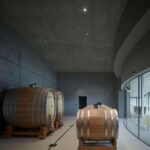 Bodega, viñedos, cubierta verde | bodega gurdau28