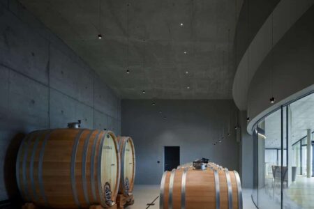 Bodega, viñedos, cubierta verde | bodega gurdau28
