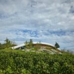Bodega, viñedos, cubierta verde | bodega gurdau3