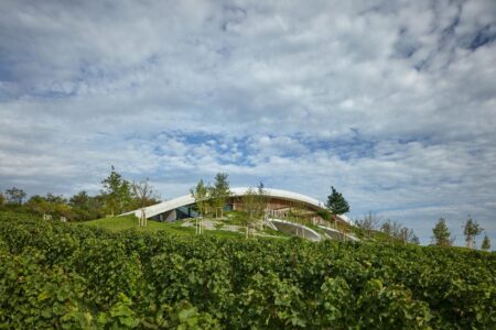 Bodega, viñedos, cubierta verde | bodega gurdau3