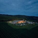 Bodega, viñedos, cubierta verde | bodega gurdau32