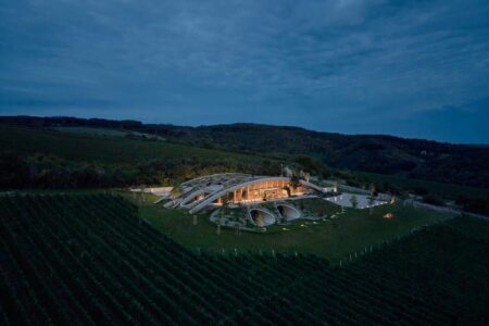 Bodega, viñedos, cubierta verde | bodega gurdau32