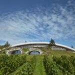 Bodega, viñedos, cubierta verde | bodega gurdau4