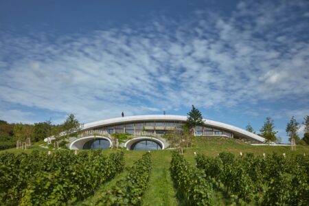 Bodega, viñedos, cubierta verde | bodega gurdau4