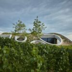 Bodega, viñedos, cubierta verde | bodega gurdau6