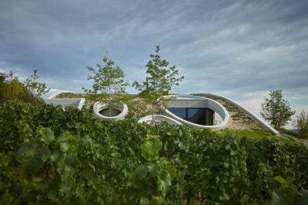 Bodega, viñedos, cubierta verde | bodega gurdau6