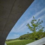 Bodega, viñedos, cubierta verde | bodega gurdau7
