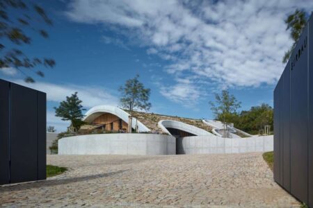 Bodega, viñedos, cubierta verde | bodega gurdau8