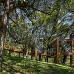 Casa árbol. Arquitectura de madera | brazilian forest