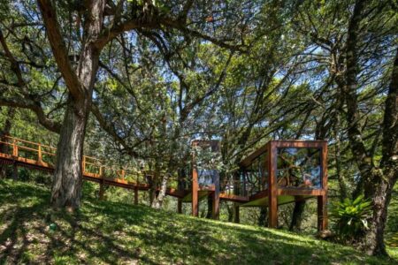 Casa árbol. Arquitectura de madera | brazilian forest
