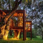 Casa árbol. Arquitectura de madera | brazilian forest1