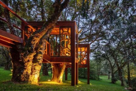 Casa árbol. Arquitectura de madera | brazilian forest1