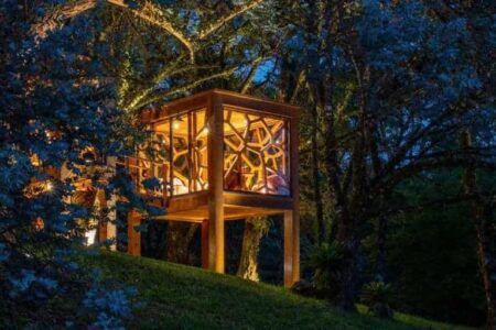 Casa árbol. Arquitectura de madera | brazilian forest3