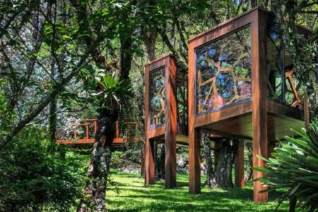 Casa árbol. Arquitectura de madera | brazilian forest4