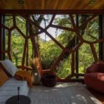 Casa árbol. Arquitectura de madera | brazilian forest5
