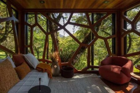 Casa árbol. Arquitectura de madera | brazilian forest5