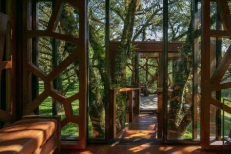 Casa árbol. Arquitectura de madera | brazilian forest6