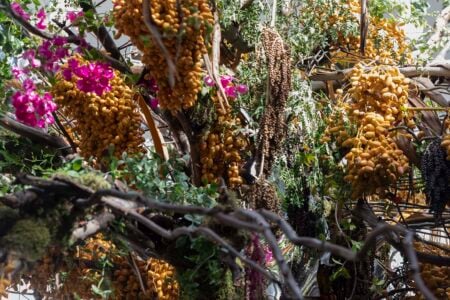 Espejismo: reflejos del paraíso. Inés Urquijo y Nuria Mora. Festival Flora. Arte floral | cfestivalflora_inesurquijonuriamora_lauramlombardia_31