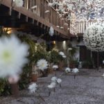 Desideratum (La fuerza de un deseo). Terabitia Arte Floral. Festival Flora. Arte floral | cfestivalflora_lauramlombardia_06095