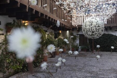 Desideratum (La fuerza de un deseo). Terabitia Arte Floral. Festival Flora. Arte floral | cfestivalflora_lauramlombardia_06095