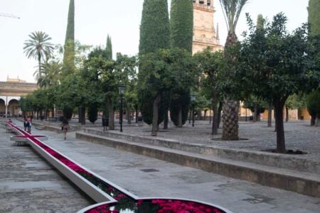Vidi Aquam. Shane Connolly. Festival Flora. Arte floral | cfestivalflora_shineconnelly__lauramlombardia_06