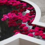 Vidi Aquam. Shane Connolly. Festival Flora. Arte floral | cfestivalflora_shineconnelly__lauramlombardia_08