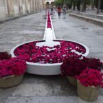 Vidi Aquam. Shane Connolly. Festival Flora. Arte floral | cfestivalflora_shineconnelly__lauramlombardia_09
