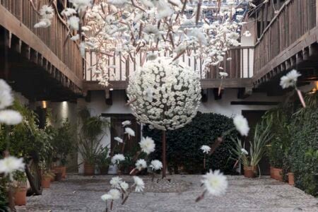 Desideratum (La fuerza de un deseo). Terabitia Arte Floral | cfestivalflora_terabitia_lauramlombardia_06