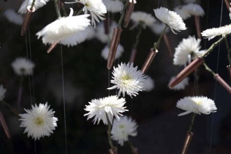 Desideratum (La fuerza de un deseo). Terabitia Arte Floral. Festival Flora. Arte floral | cfestivalflora_terabitia__lauramlombardia_13