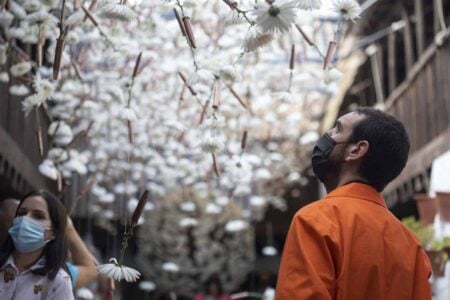 Desideratum (La fuerza de un deseo). Terabitia Arte Floral. Festival Flora. Arte floral | cfestivalflora_terabitia__lauramlombardia_14