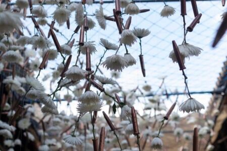 Desideratum (La fuerza de un deseo). Terabitia Arte Floral. Festival Flora. Arte floral | cfestivalflora_terabitia__lauramlombardia_17