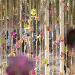 Fuerza interior. Tom De Houwer. Festival Flora. Arte floral | cfestivalflora_tomdehouwer_lauramlombardia_13