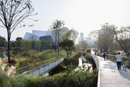 Museo de Historia Natural de Chengdu. Pelli Clarke & Partners | chengdu_museum_natural_history roomdiseno3