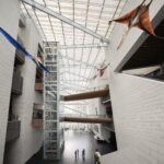 Museo de Historia Natural de Chengdu. Pelli Clarke & Partners | chengdu_museum_natural_history roomdiseno4