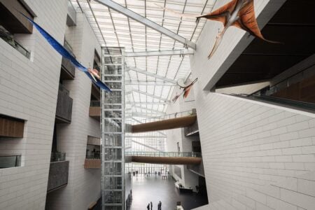 Museo de Historia Natural de Chengdu. Pelli Clarke & Partners | chengdu_museum_natural_history roomdiseno4