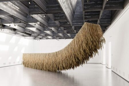 Crop. Tadao Cern | crop