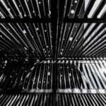 David Adjaye, Sídney, Circular Quay, plaza pública | david adjaye1