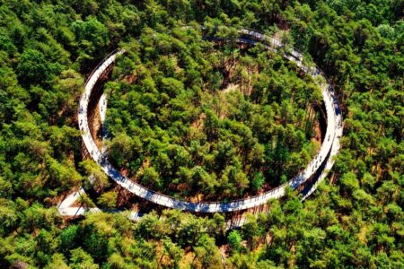De Gregorio and Partners. Carril bici | de gregorio and partners roomdiseno