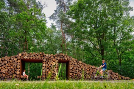 De Gregorio and Partners. Carril bici | de gregorio and partners roomdiseno4