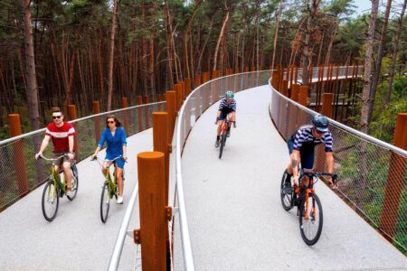De Gregorio and Partners. Carril bici. ciclovia | de gregorio and partners roomdiseno5