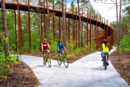 De Gregorio and Partners. Carril bici | de gregorio and partners roomdiseno6