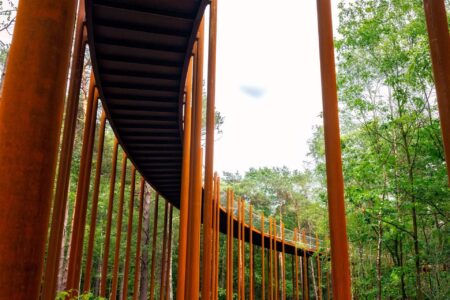 De Gregorio and Partners. Carril bici. ciclovia | de gregorio and partners roomdiseno7