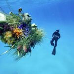 Diver. El arte floral de Azuma Makoto | diver azuma_makoto roomdiseno
